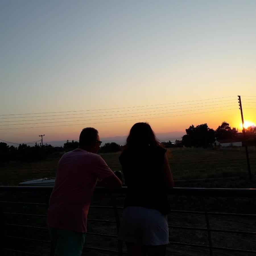 ネア・ミカニオーナGarden'S Sunset Αvraアパートメント エクステリア 写真